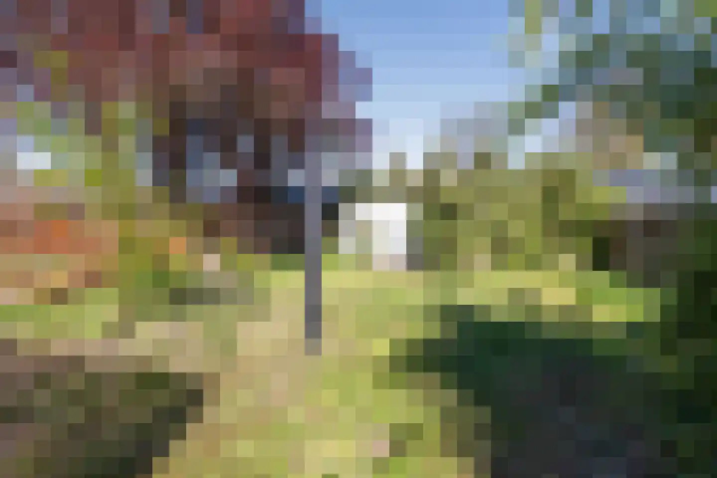 Zuiderdiep 179 Valthermond thumbnail 32