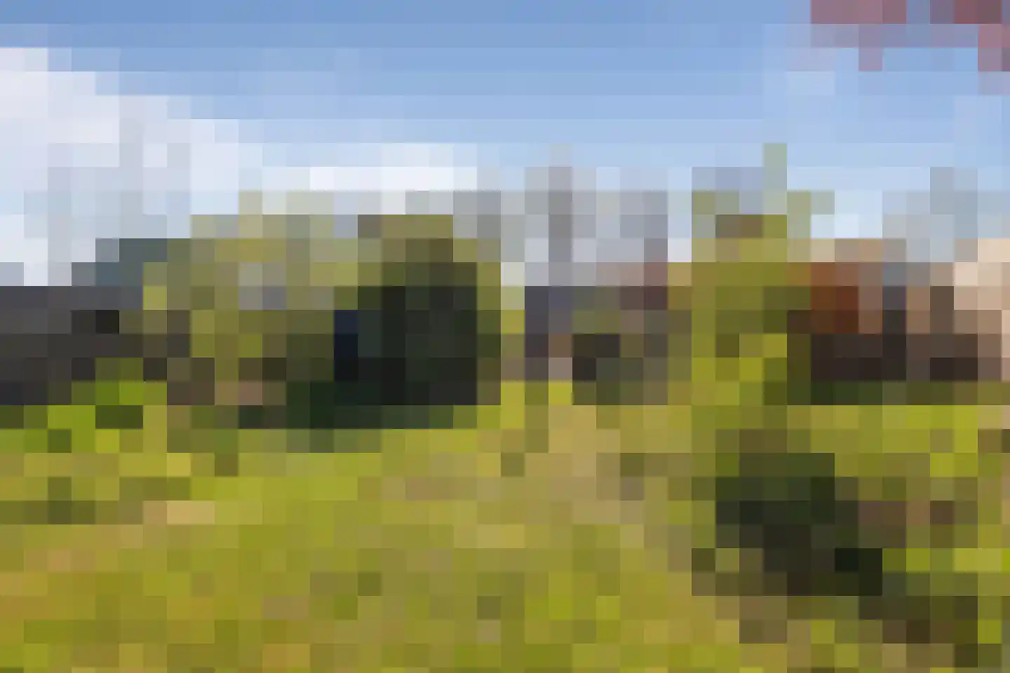 Zuiderdiep 179 Valthermond thumbnail 33