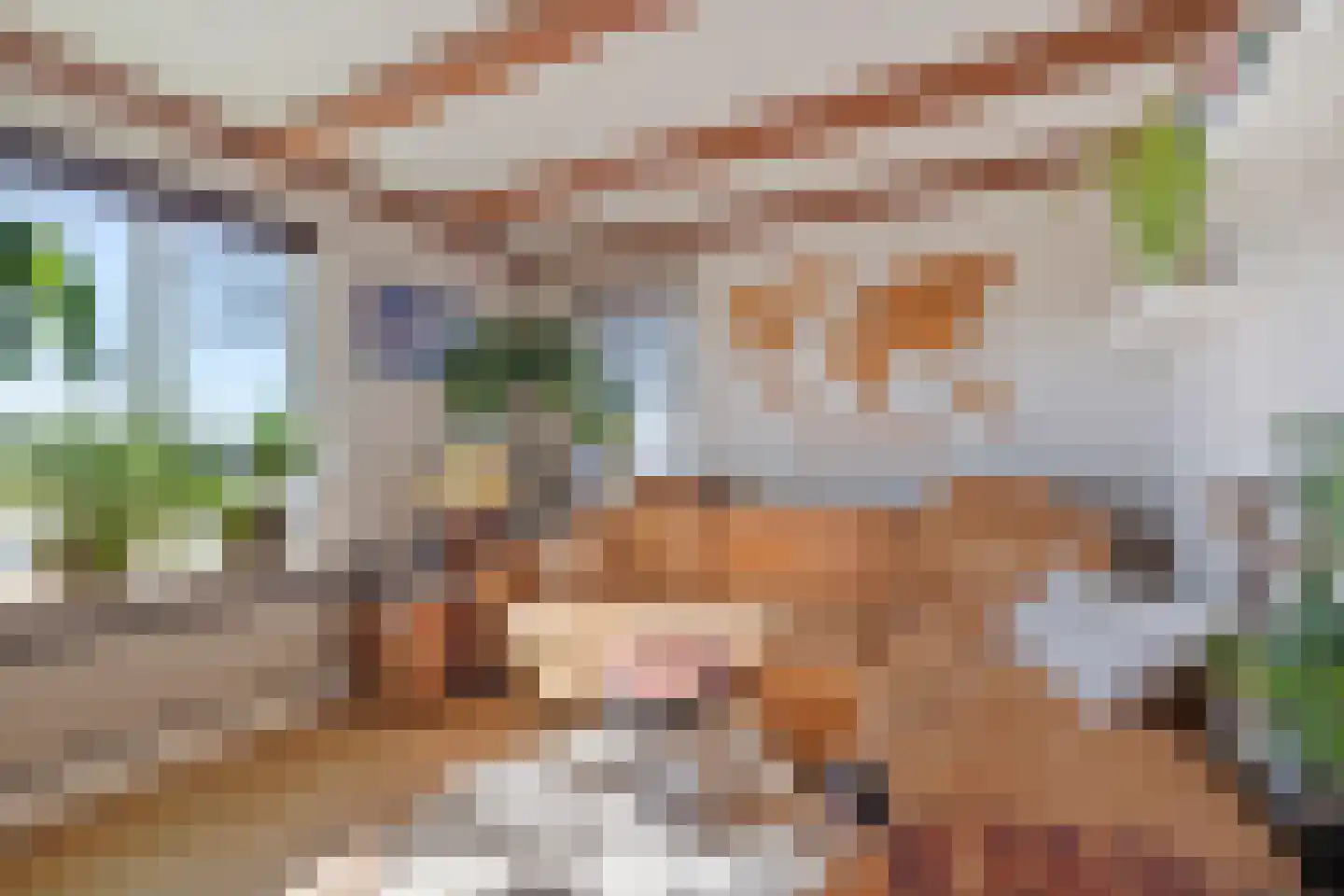 Zuiderdiep 179 Valthermond thumbnail 5