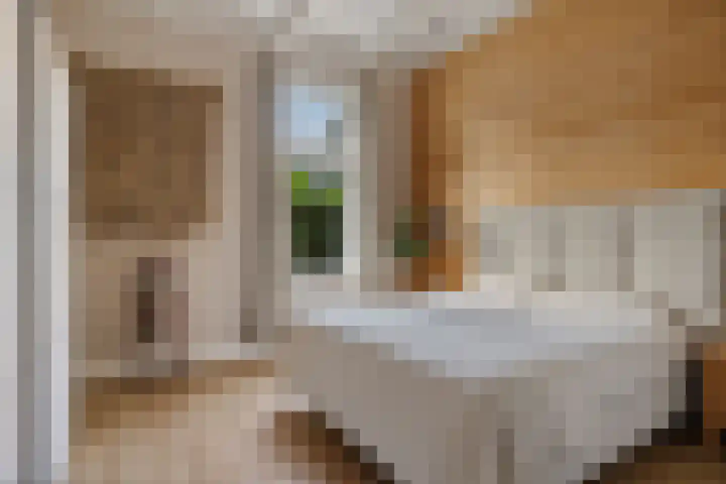 Zuiderdiep 189 2e Exloërmond thumbnail 25