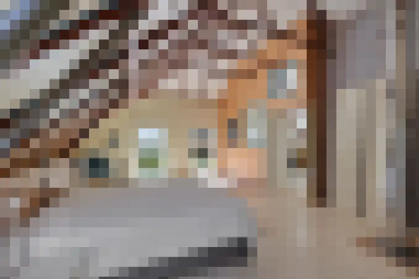 Zuiderdiep 189 2e Exloërmond thumbnail 36