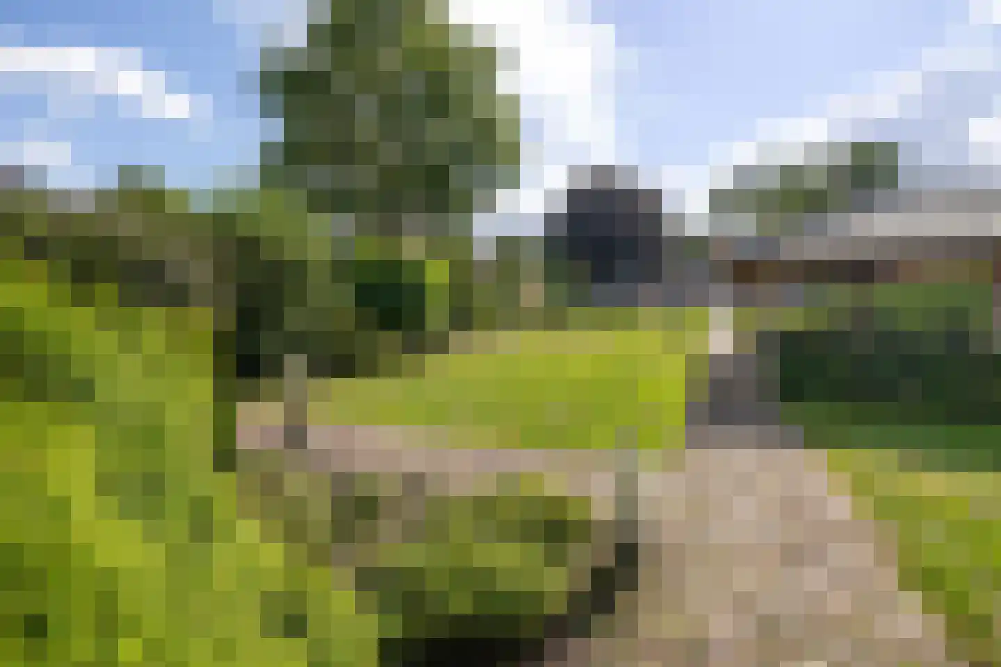 Zuiderdiep 189 2e Exloërmond thumbnail 50