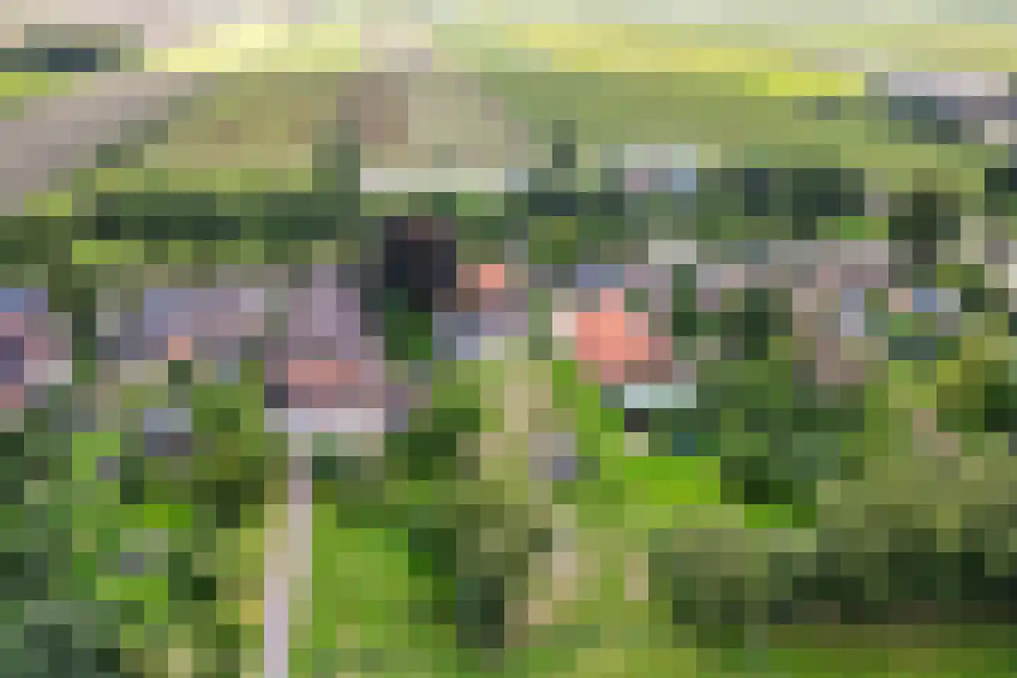Zuiderdiep 189 2e Exloërmond thumbnail 53