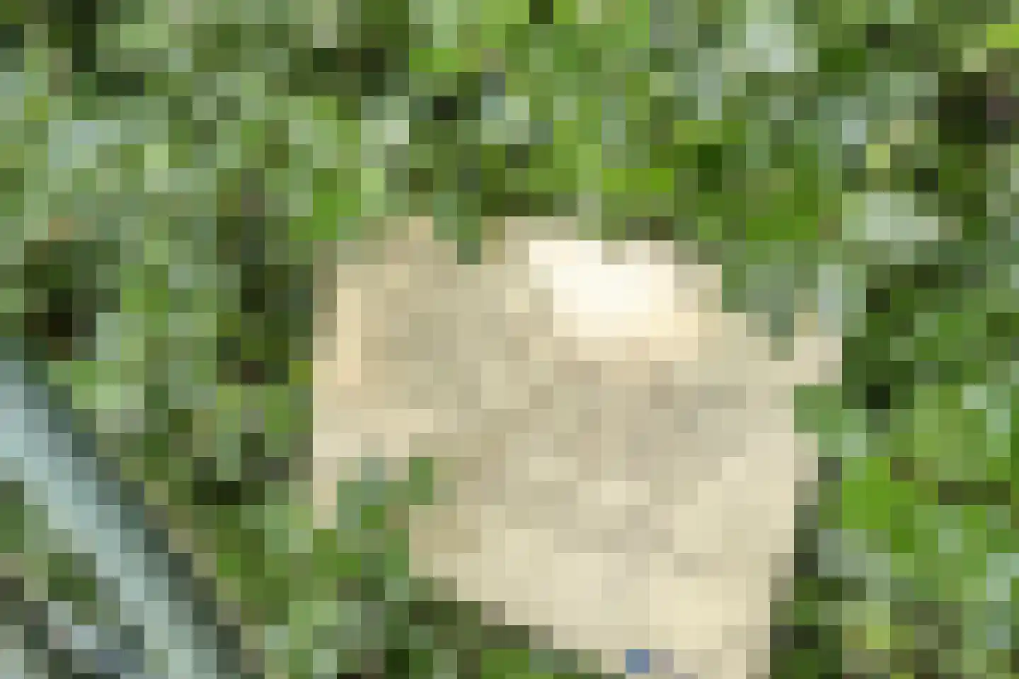 Zuiderdiep 190 2e Exloërmond thumbnail 112