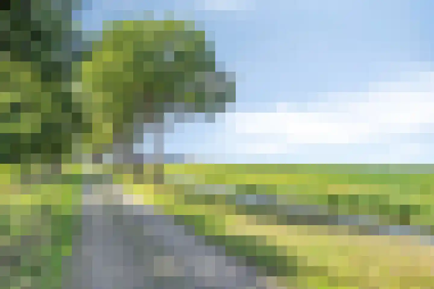 Zuiderdiep 190 2e Exloërmond thumbnail 113