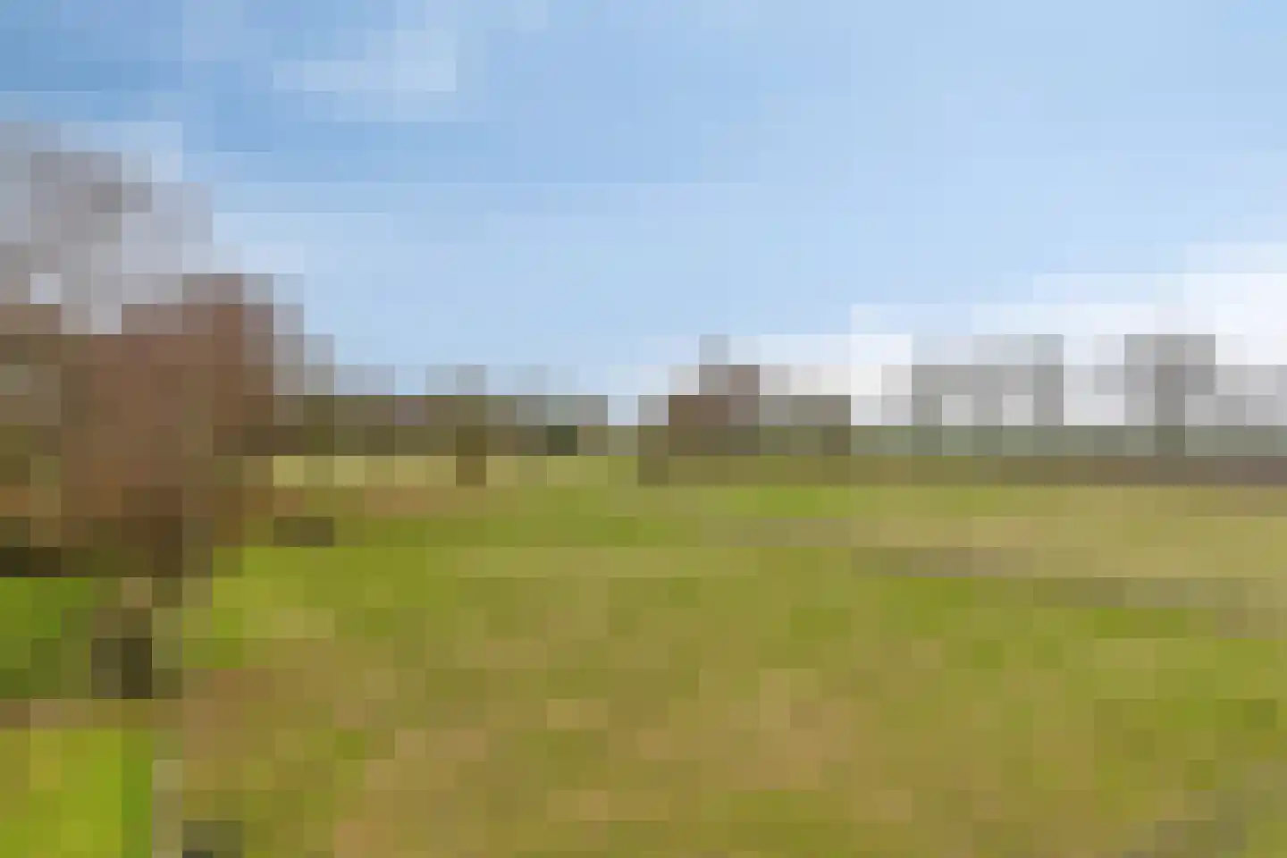Zuiderdiep 190 2e Exloërmond thumbnail 48