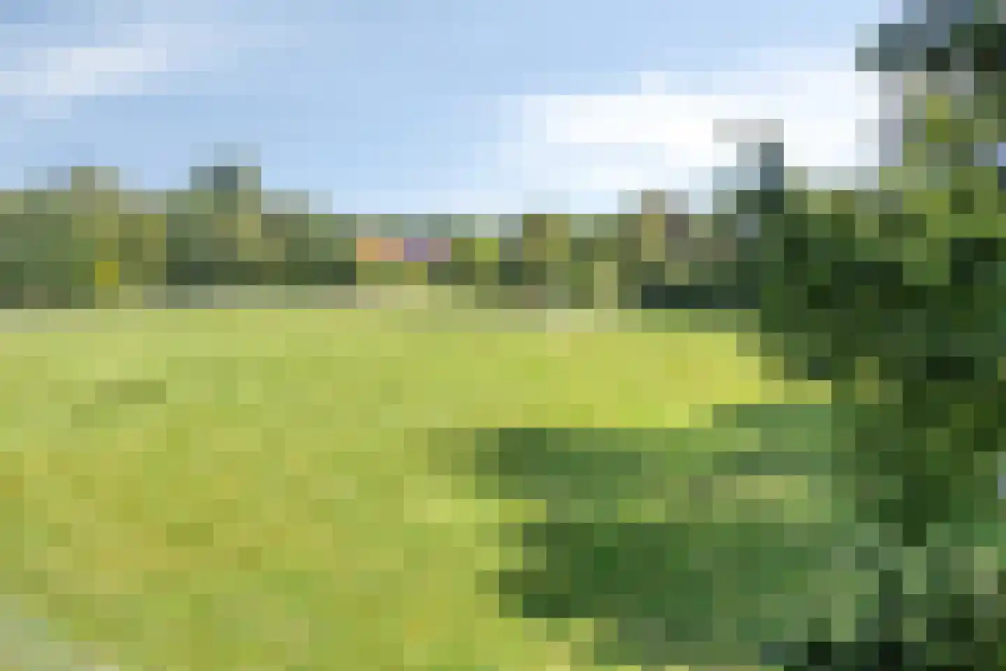 Zuiderdiep 190 2e Exloërmond thumbnail 5