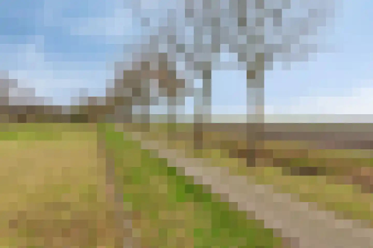 Zuiderdiep 190 2e Exloërmond thumbnail 50