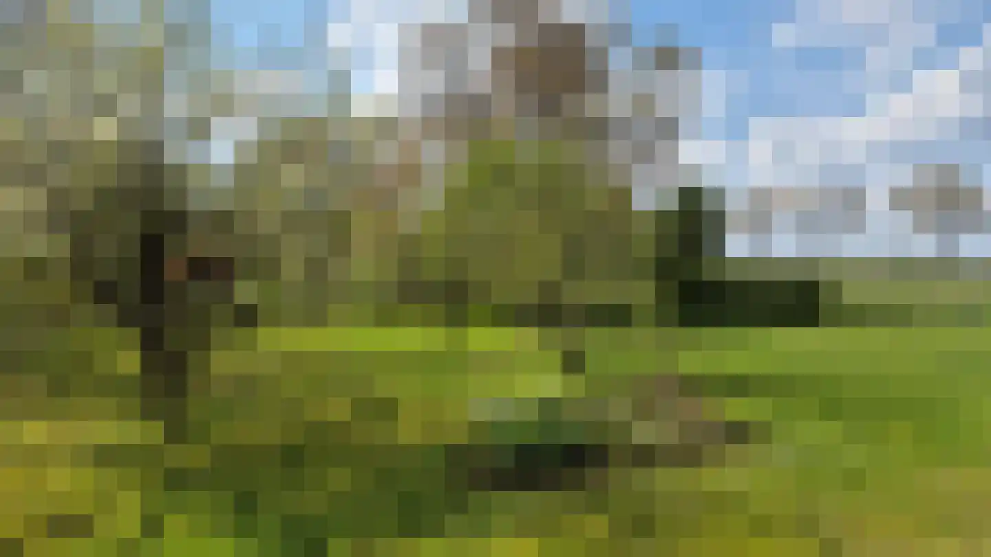 Zuiderdiep 190 2e Exloërmond thumbnail 8