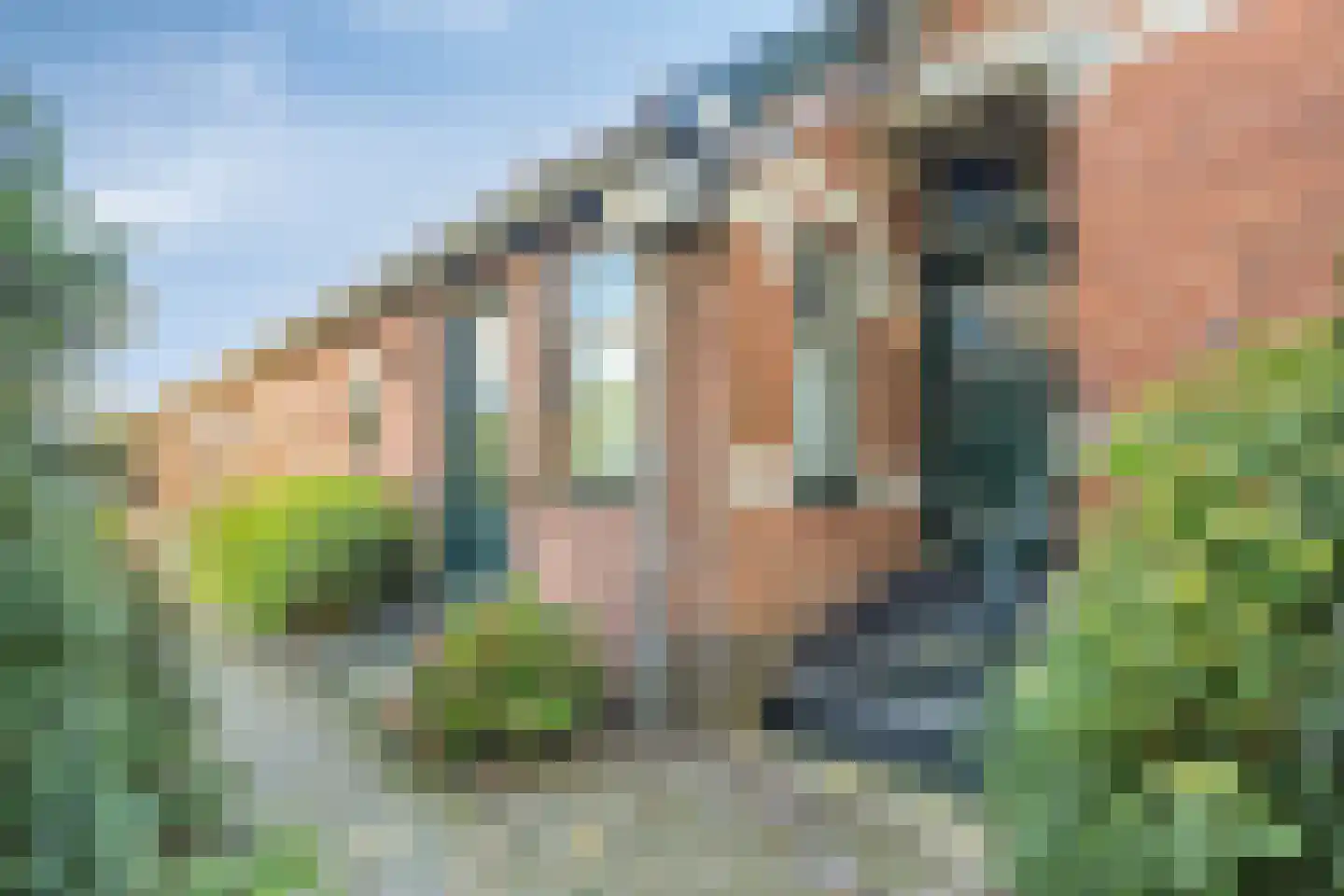 Zuiderdiep 190 2e Exloërmond thumbnail 91