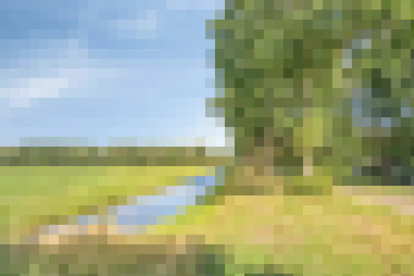 Zuiderdiep 190 2e Exloërmond thumbnail 97