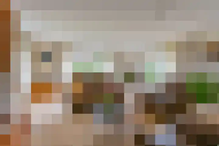 Zuiderdiep 21 Valthermond thumbnail 13