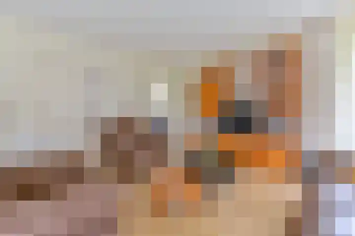 Zuiderdiep 21 Valthermond thumbnail 18