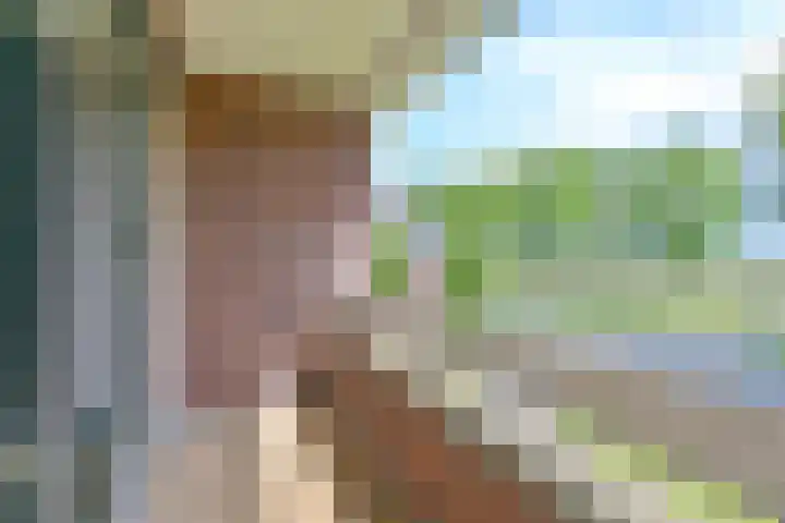 Zuiderdiep 21 Valthermond thumbnail 45