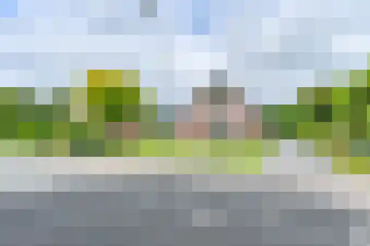 Zuiderdiep 21 Valthermond thumbnail 65
