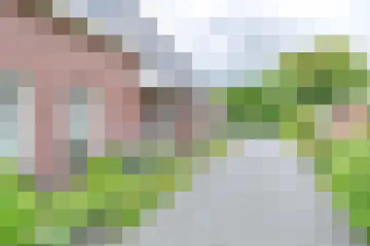 Zuiderdiep 21 Valthermond thumbnail 66