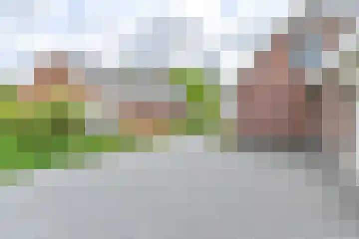 Zuiderdiep 21 Valthermond thumbnail 67