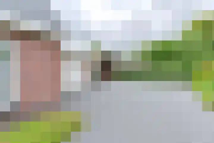 Zuiderdiep 21 Valthermond thumbnail 68