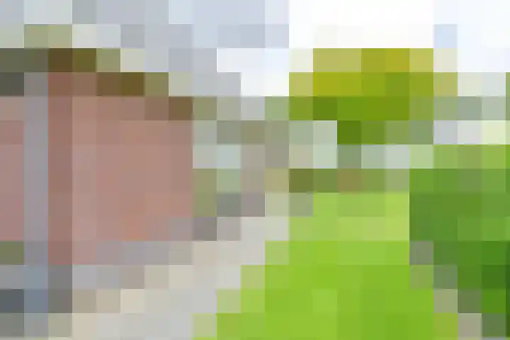 Zuiderdiep 21 Valthermond thumbnail 73