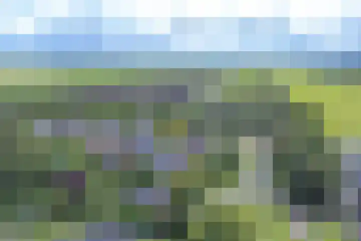 Zuiderdiep 21 Valthermond thumbnail 76