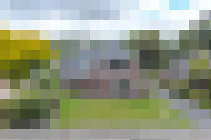 Zuiderdiep 21 Valthermond thumbnail 79