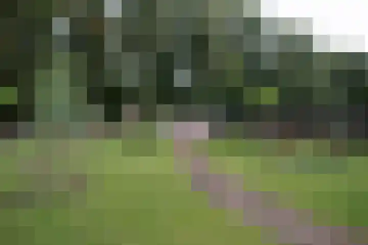 Zuiderdiep 213 2e Exloërmond thumbnail 26