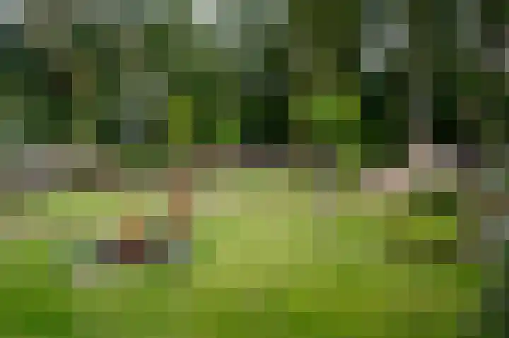 Zuiderdiep 213 2e Exloërmond thumbnail 27