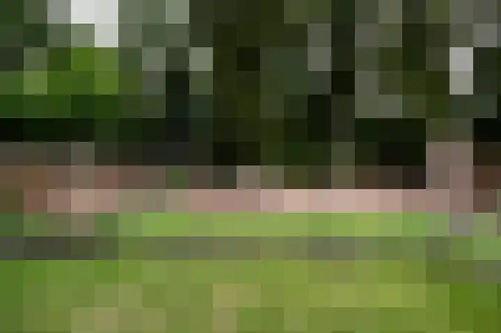 Zuiderdiep 213 2e Exloërmond thumbnail 28