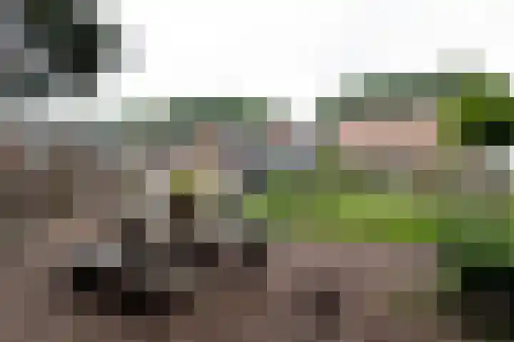 Zuiderdiep 213 2e Exloërmond thumbnail 29