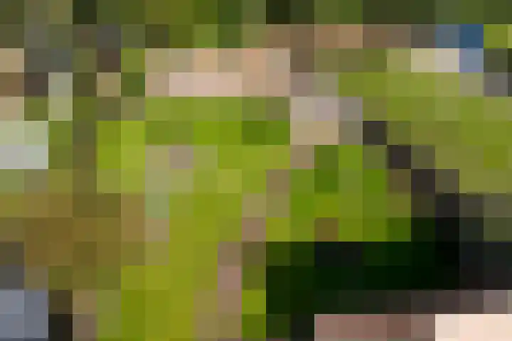 Zuiderdiep 213 2e Exloërmond thumbnail 30