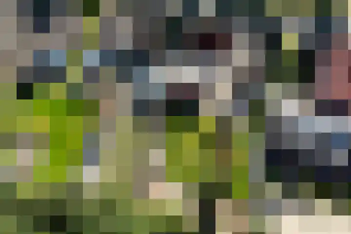 Zuiderdiep 213 2e Exloërmond thumbnail 31