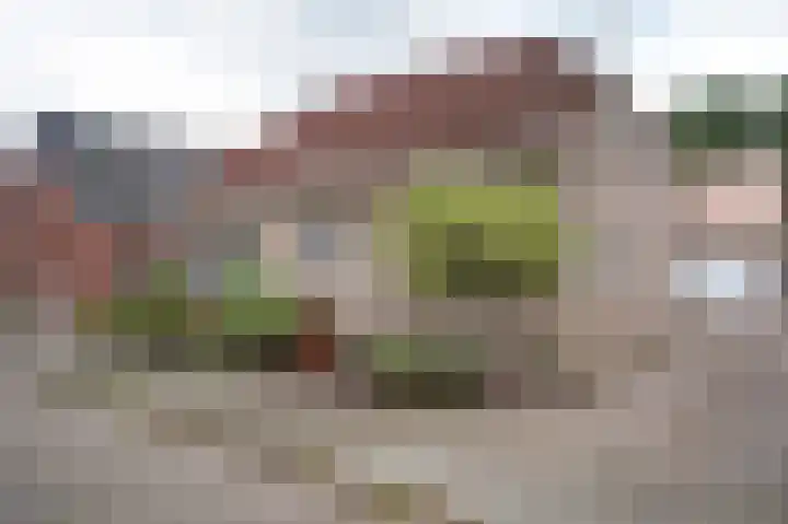 Zuiderdiep 213 2e Exloërmond thumbnail 32