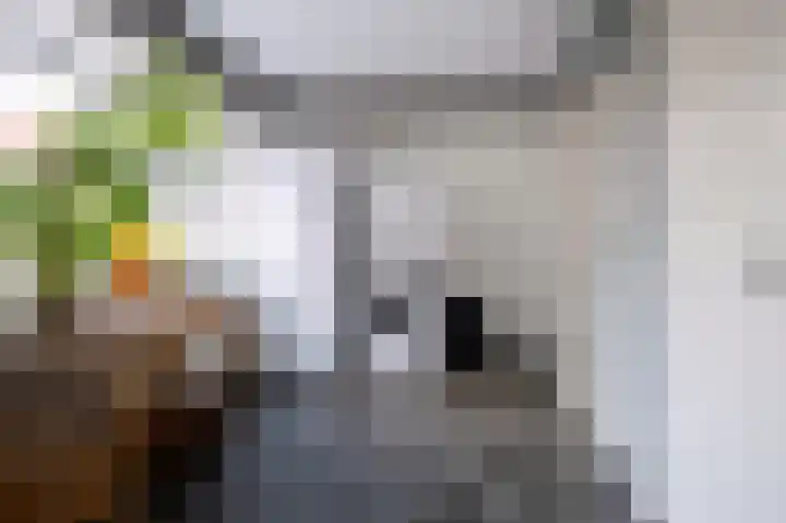 Zuiderdiep 213 2e Exloërmond thumbnail 6