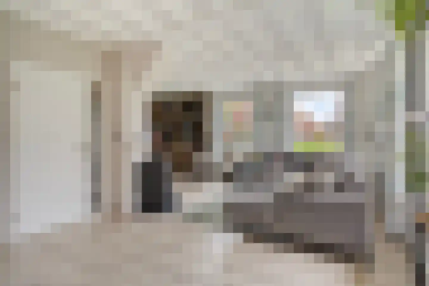 Zuiderdiep 221 A Nieuw-Buinen thumbnail 11