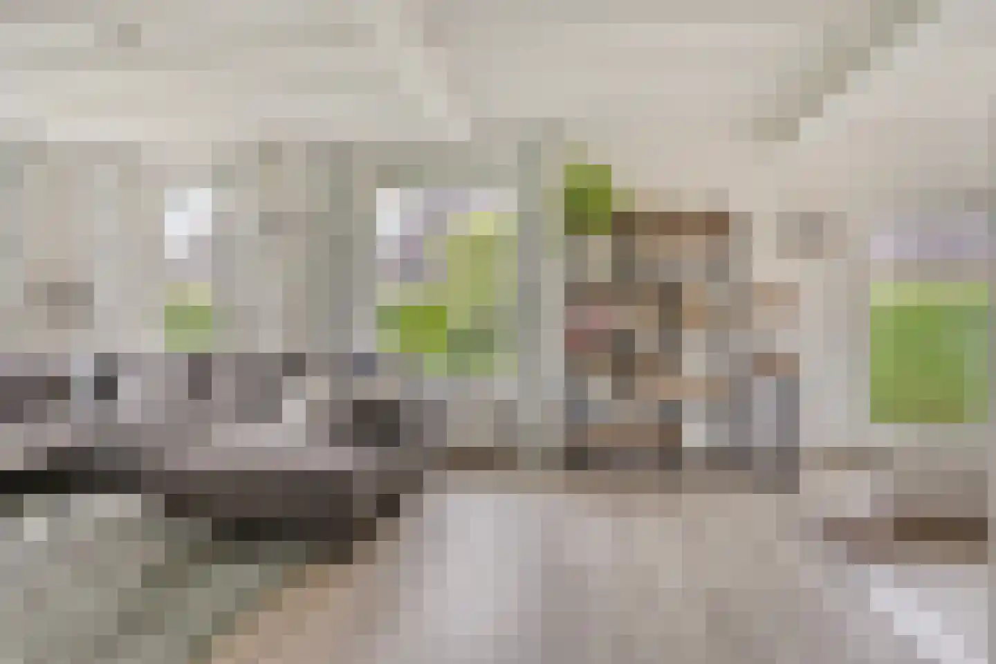 Zuiderdiep 221 A Nieuw-Buinen thumbnail 20