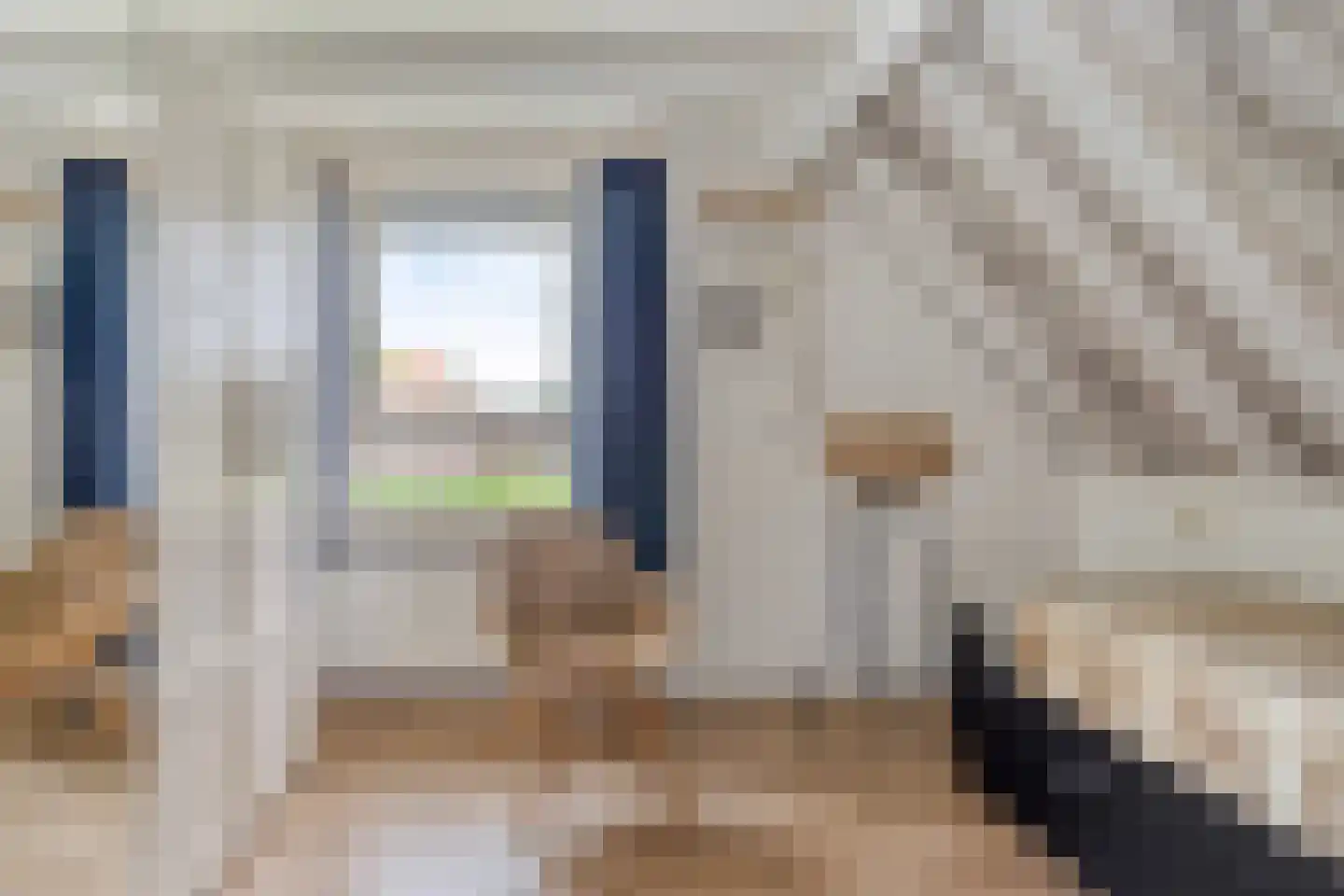 Zuiderdiep 221 A Nieuw-Buinen thumbnail 32