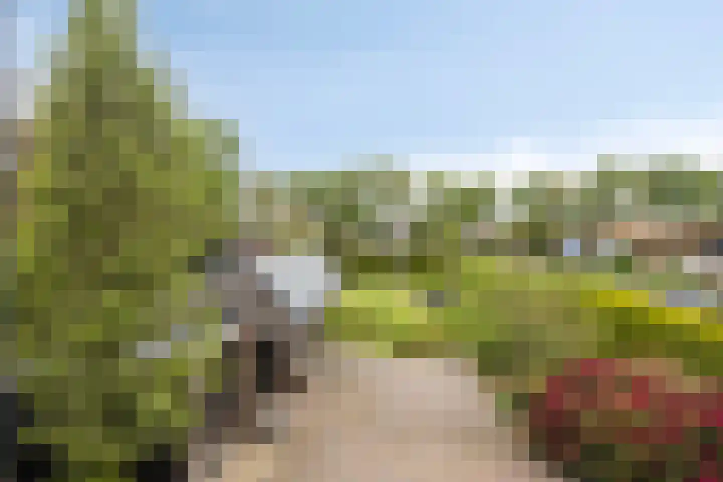 Zuiderdiep 221 A Nieuw-Buinen thumbnail 41