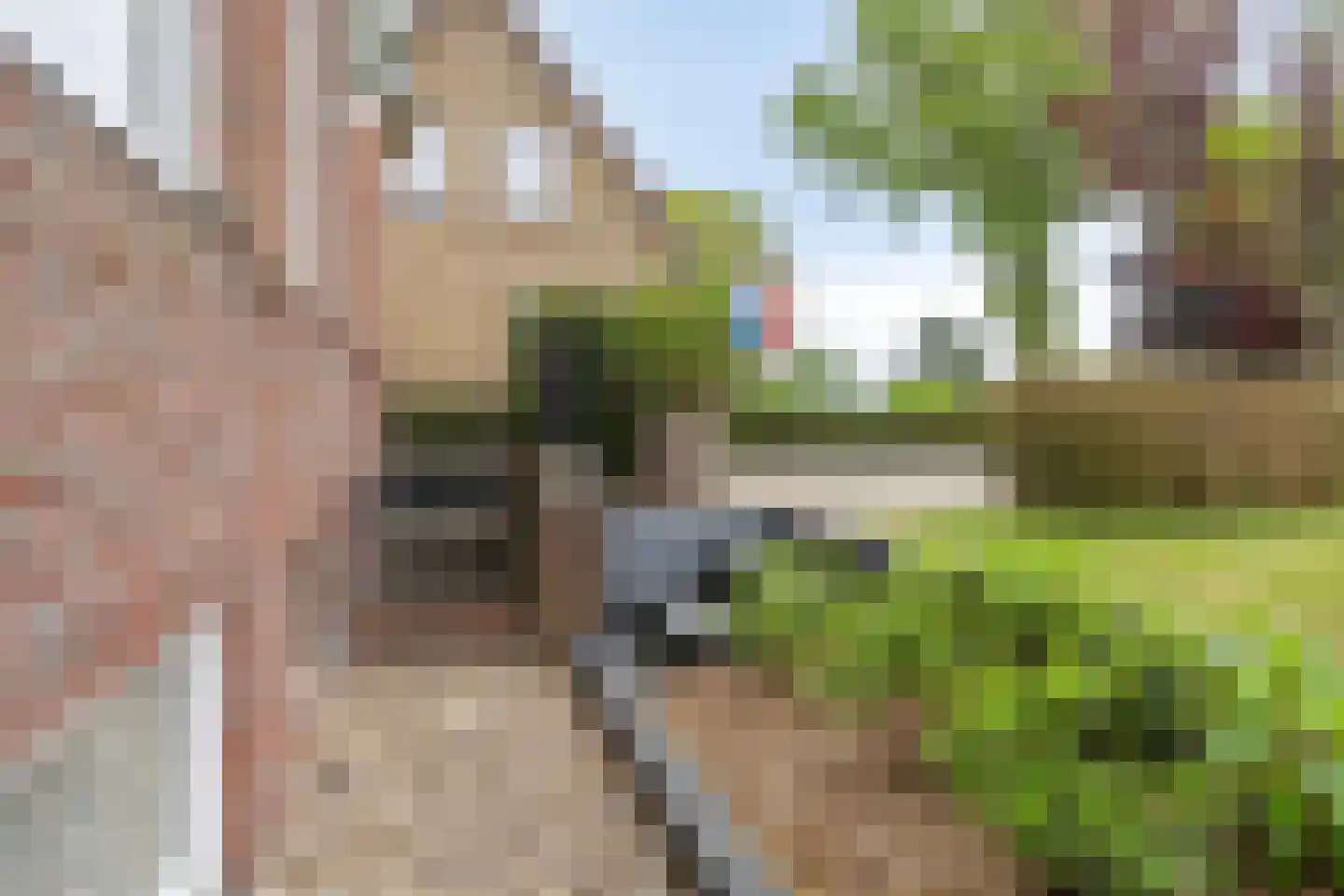 Zuiderdiep 221 A Nieuw-Buinen thumbnail 55