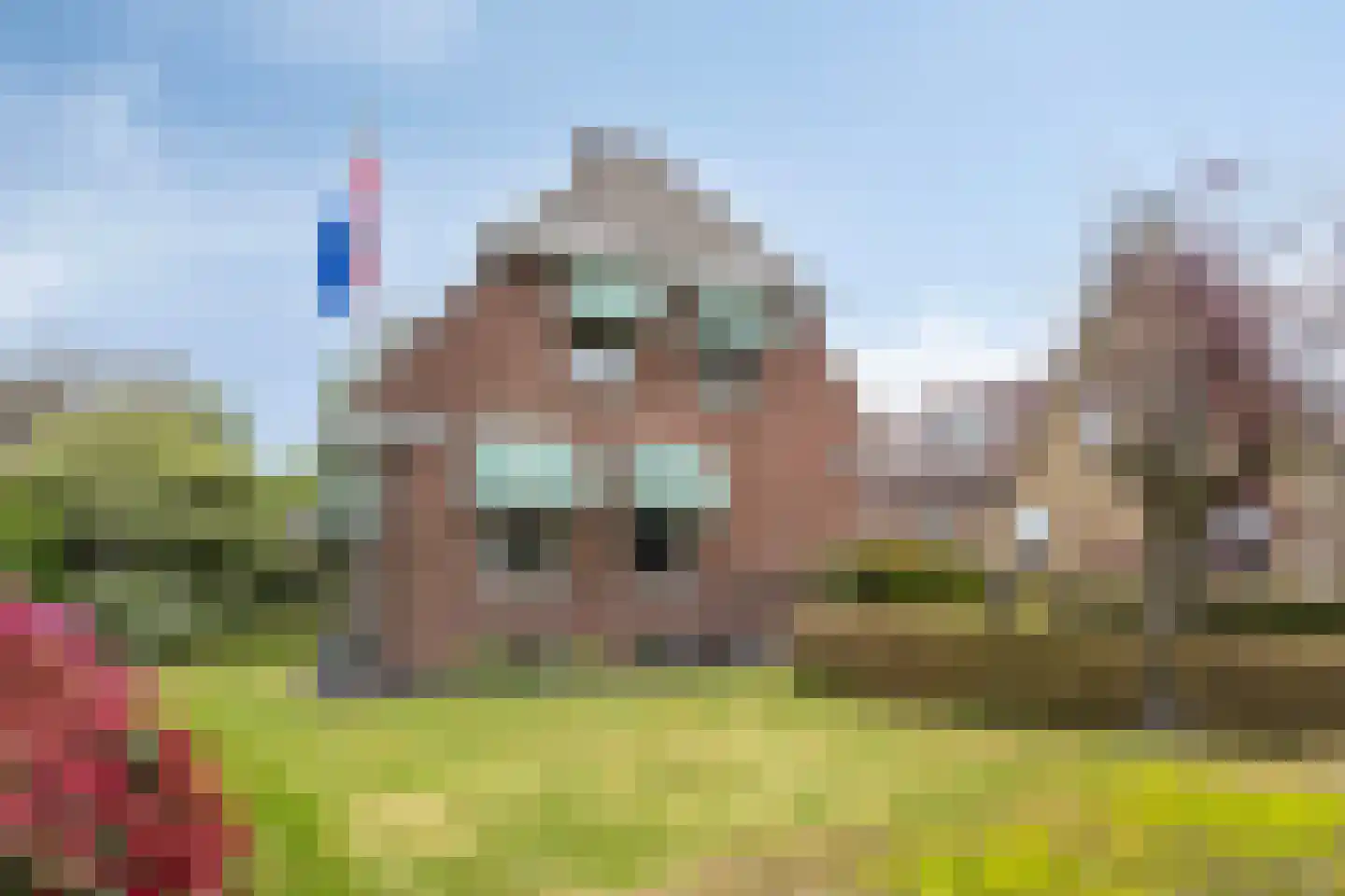 Zuiderdiep 221 A Nieuw-Buinen thumbnail 6