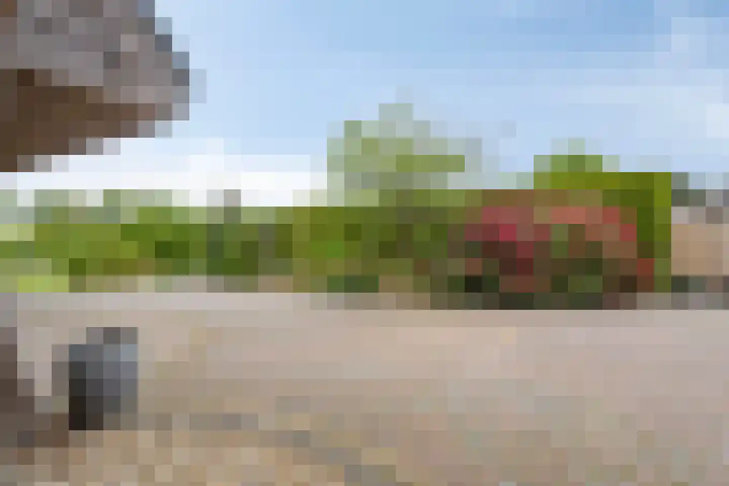 Zuiderdiep 221 A Nieuw-Buinen thumbnail 67
