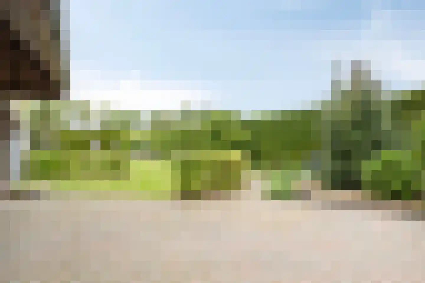 Zuiderdiep 221 A Nieuw-Buinen thumbnail 68
