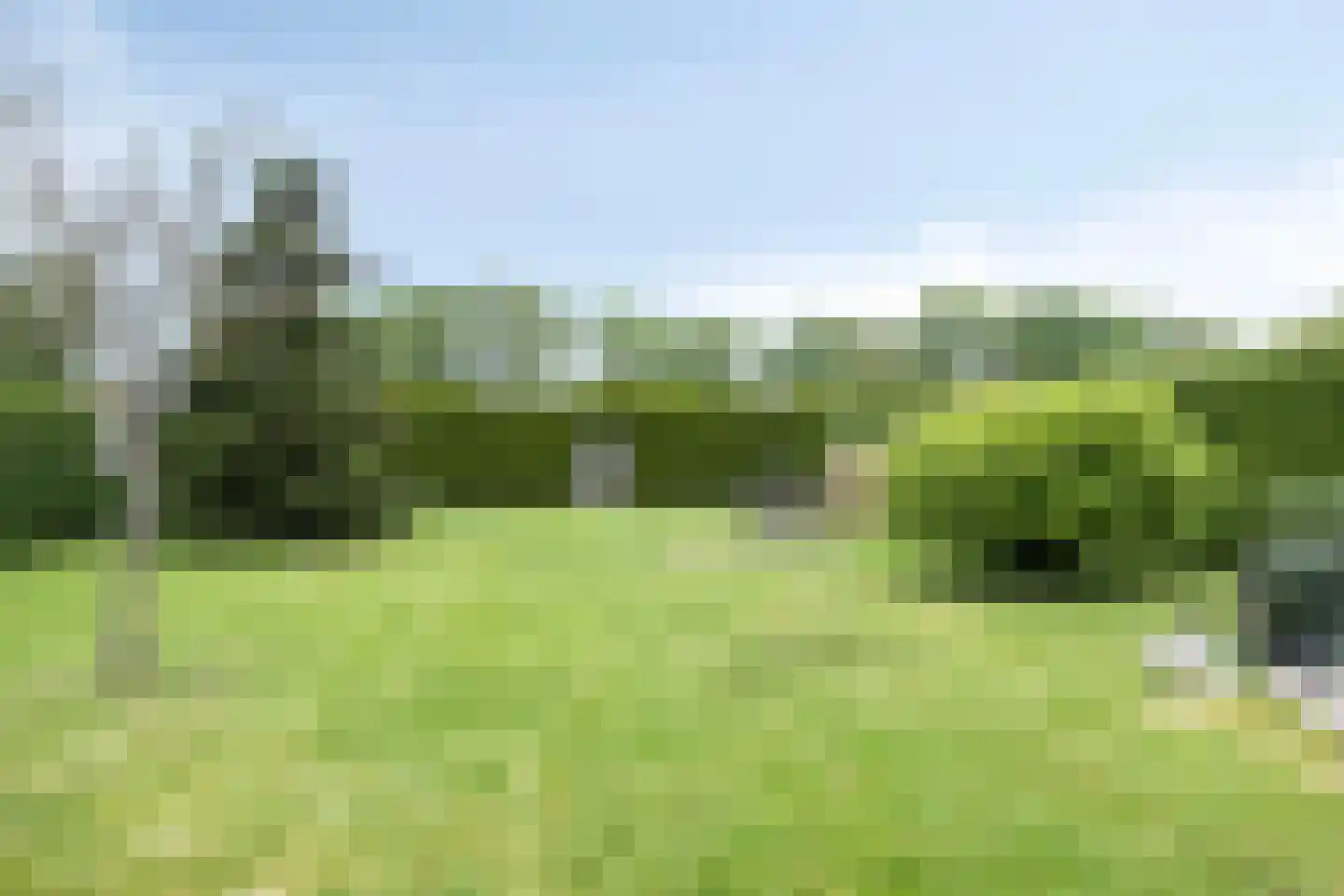 Zuiderdiep 221 A Nieuw-Buinen thumbnail 74