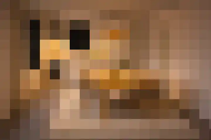 Zuiderdiep 222 Valthermond thumbnail 11