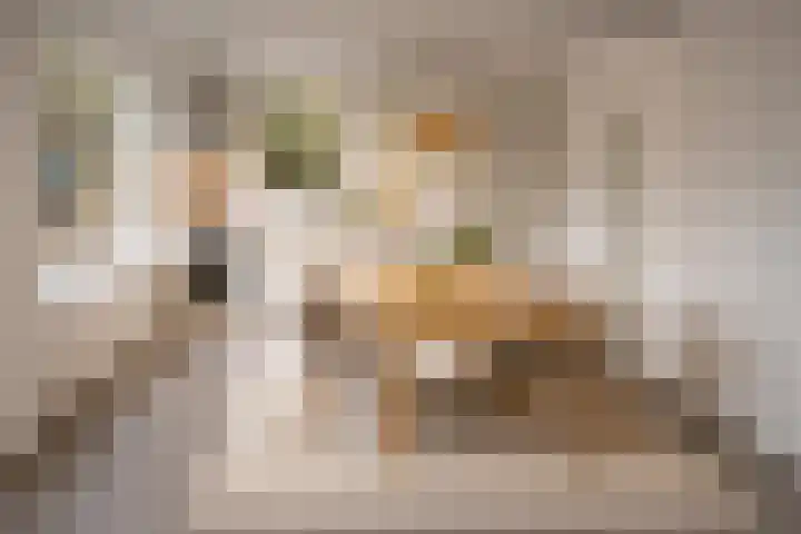 Zuiderdiep 222 Valthermond thumbnail 15
