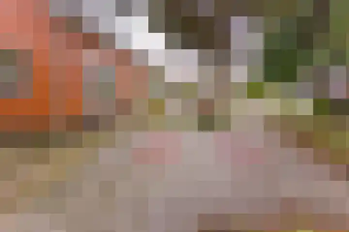 Zuiderdiep 222 Valthermond thumbnail 38