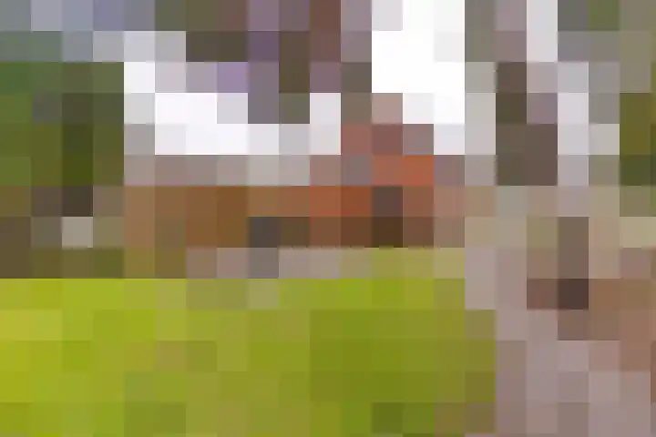 Zuiderdiep 222 Valthermond thumbnail 39