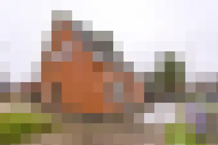 Zuiderdiep 222 Valthermond thumbnail 4