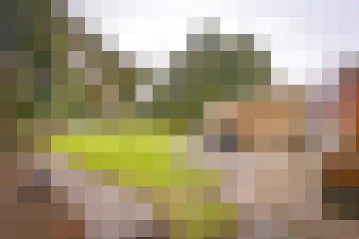 Zuiderdiep 222 Valthermond thumbnail 40