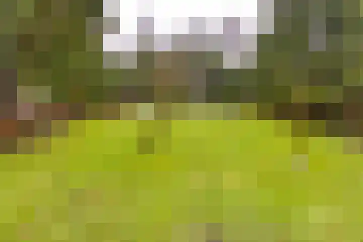 Zuiderdiep 222 Valthermond thumbnail 41