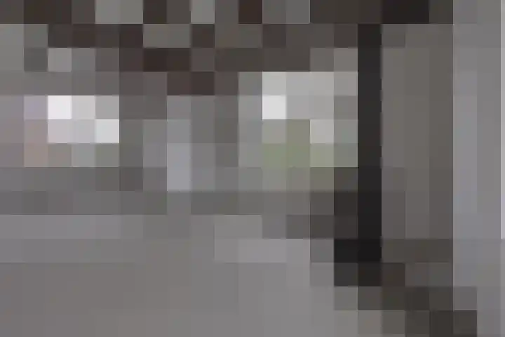 Zuiderdiep 222 Valthermond thumbnail 7